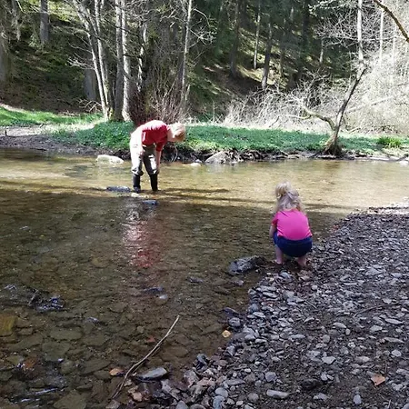 Raidillon - 5 펜션 *